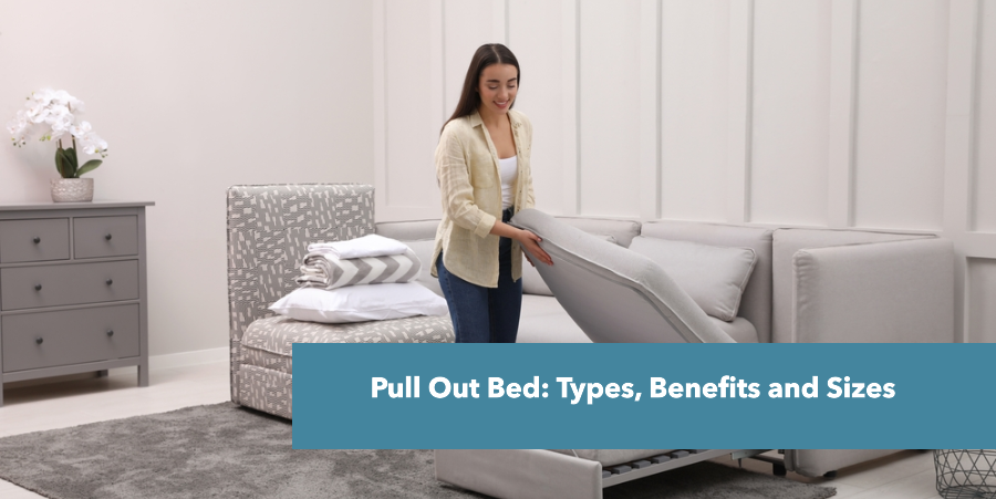 Pull Out Bed: Types, Benefits and Sizes